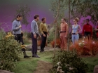 Filename=ariane179254_StarTrek_2x22_ByAnyOtherName_0081.jpg
Filesize=170KiB
Dimensions=1440x1080
Date added=Aug 26, 2015 ariane179254_StarTrek_2x22_ByAnyOtherName_0081.jpg