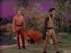 Filename=ariane179254_StarTrek_2x22_ByAnyOtherName_0582.jpg
Filesize=175KiB
Dimensions=1440x1080
Date added=Aug 26, 2015 ariane179254_StarTrek_2x22_ByAnyOtherName_0582.jpg