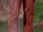 ariane179254_StarTrek_2x22_ByAnyOtherName_0934.jpg