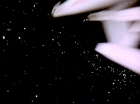 Filename=ariane179254_StarTrek_2x22_ByAnyOtherName_1558.jpg
Filesize=54KiB
Dimensions=1440x1080
Date added=Aug 26, 2015 ariane179254_StarTrek_2x22_ByAnyOtherName_1558.jpg