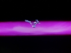 Filename=ariane179254_StarTrek_2x22_ByAnyOtherName_1745.jpg
Filesize=39KiB
Dimensions=1440x1080
Date added=Aug 26, 2015 ariane179254_StarTrek_2x22_ByAnyOtherName_1745.jpg