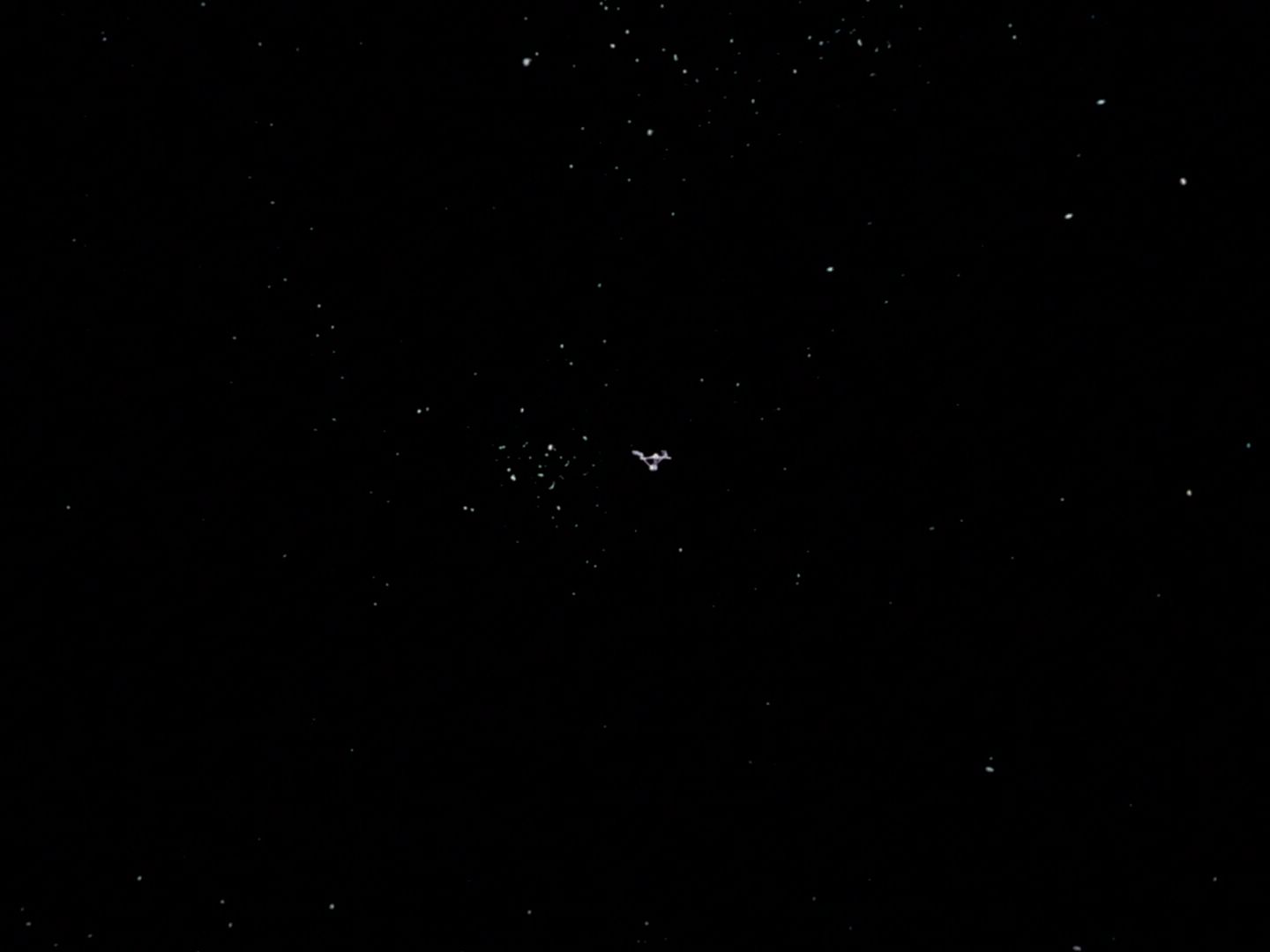 ariane179254_StarTrek_2x23_TheOmegaGlory_3246.jpg