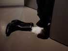 Filename=ariane179254_StarTrek_2x23_TheOmegaGlory_0150.jpg
Filesize=83KiB
Dimensions=1440x1080
Date added=Aug 26, 2015 ariane179254_StarTrek_2x23_TheOmegaGlory_0150.jpg