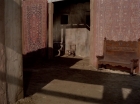 ariane179254_StarTrek_2x23_TheOmegaGlory_0462.jpg