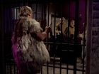 Filename=ariane179254_StarTrek_2x23_TheOmegaGlory_1191.jpg
Filesize=131KiB
Dimensions=1440x1080
Date added=Aug 26, 2015 ariane179254_StarTrek_2x23_TheOmegaGlory_1191.jpg