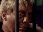 Filename=ariane179254_StarTrek_2x23_TheOmegaGlory_1212.jpg
Filesize=127KiB
Dimensions=1440x1080
Date added=Aug 26, 2015 ariane179254_StarTrek_2x23_TheOmegaGlory_1212.jpg
