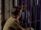 Filename=ariane179254_StarTrek_2x23_TheOmegaGlory_1769.jpg
Filesize=137KiB
Dimensions=1440x1080
Date added=Aug 26, 2015 ariane179254_StarTrek_2x23_TheOmegaGlory_1769.jpg