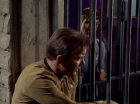 Filename=ariane179254_StarTrek_2x23_TheOmegaGlory_1777.jpg
Filesize=138KiB
Dimensions=1440x1080
Date added=Aug 26, 2015 ariane179254_StarTrek_2x23_TheOmegaGlory_1777.jpg