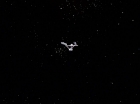 ariane179254_StarTrek_2x23_TheOmegaGlory_3243.jpg
