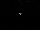 ariane179254_StarTrek_2x23_TheOmegaGlory_3244.jpg
