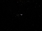 ariane179254_StarTrek_2x23_TheOmegaGlory_3245.jpg