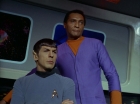 Filename=ariane179254_StarTrek_2x24_TheUltimateComputer_0467.jpg
Filesize=104KiB
Dimensions=1440x1080
Date added=Jan 18, 2012 ariane179254_StarTrek_2x24_TheUltimateComputer_0467.jpg