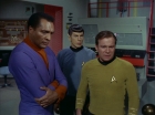 Filename=ariane179254_StarTrek_2x24_TheUltimateComputer_0908.jpg
Filesize=113KiB
Dimensions=1440x1080
Date added=Jan 18, 2012 ariane179254_StarTrek_2x24_TheUltimateComputer_0908.jpg