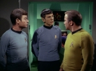 Filename=ariane179254_StarTrek_2x24_TheUltimateComputer_1594.jpg
Filesize=119KiB
Dimensions=1440x1080
Date added=Jan 18, 2012 ariane179254_StarTrek_2x24_TheUltimateComputer_1594.jpg