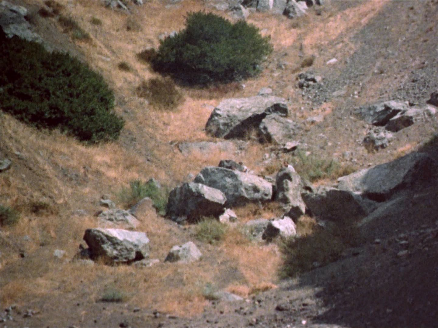 ariane179254_StarTrek_2x25_BreadAndCircuses_0476.jpg