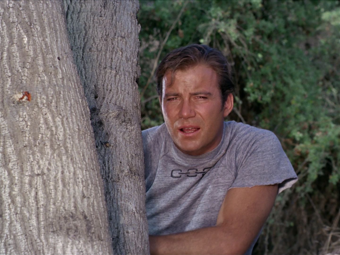 ariane179254_StarTrek_2x25_BreadAndCircuses_1053.jpg