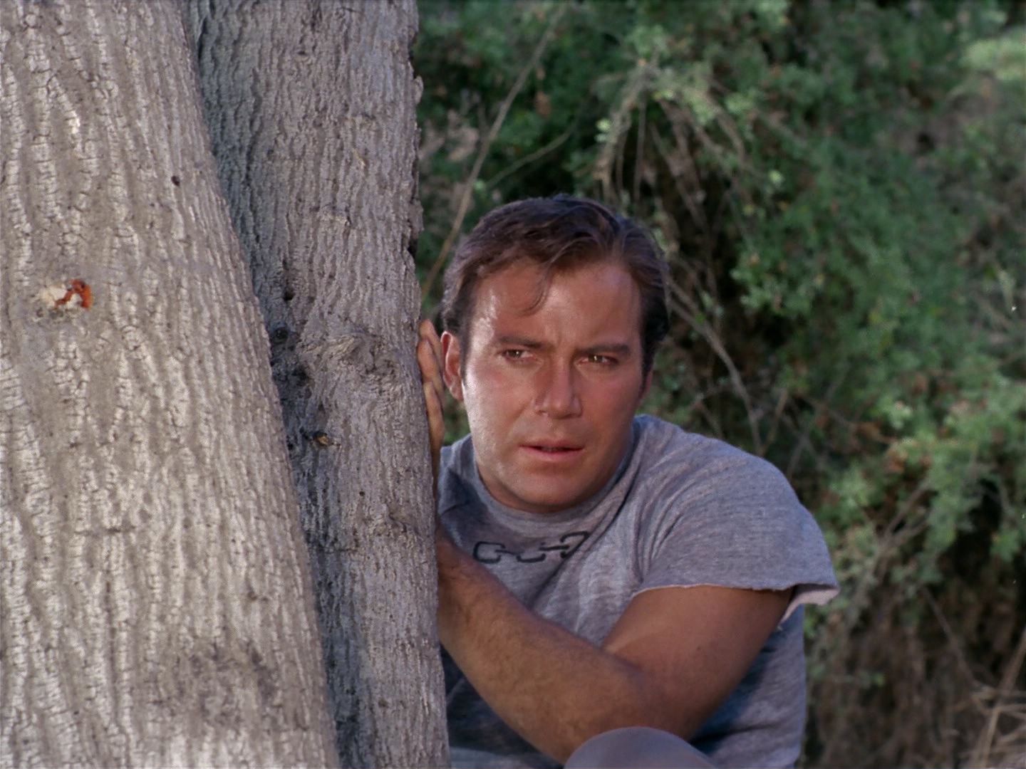 ariane179254_StarTrek_2x25_BreadAndCircuses_1057.jpg