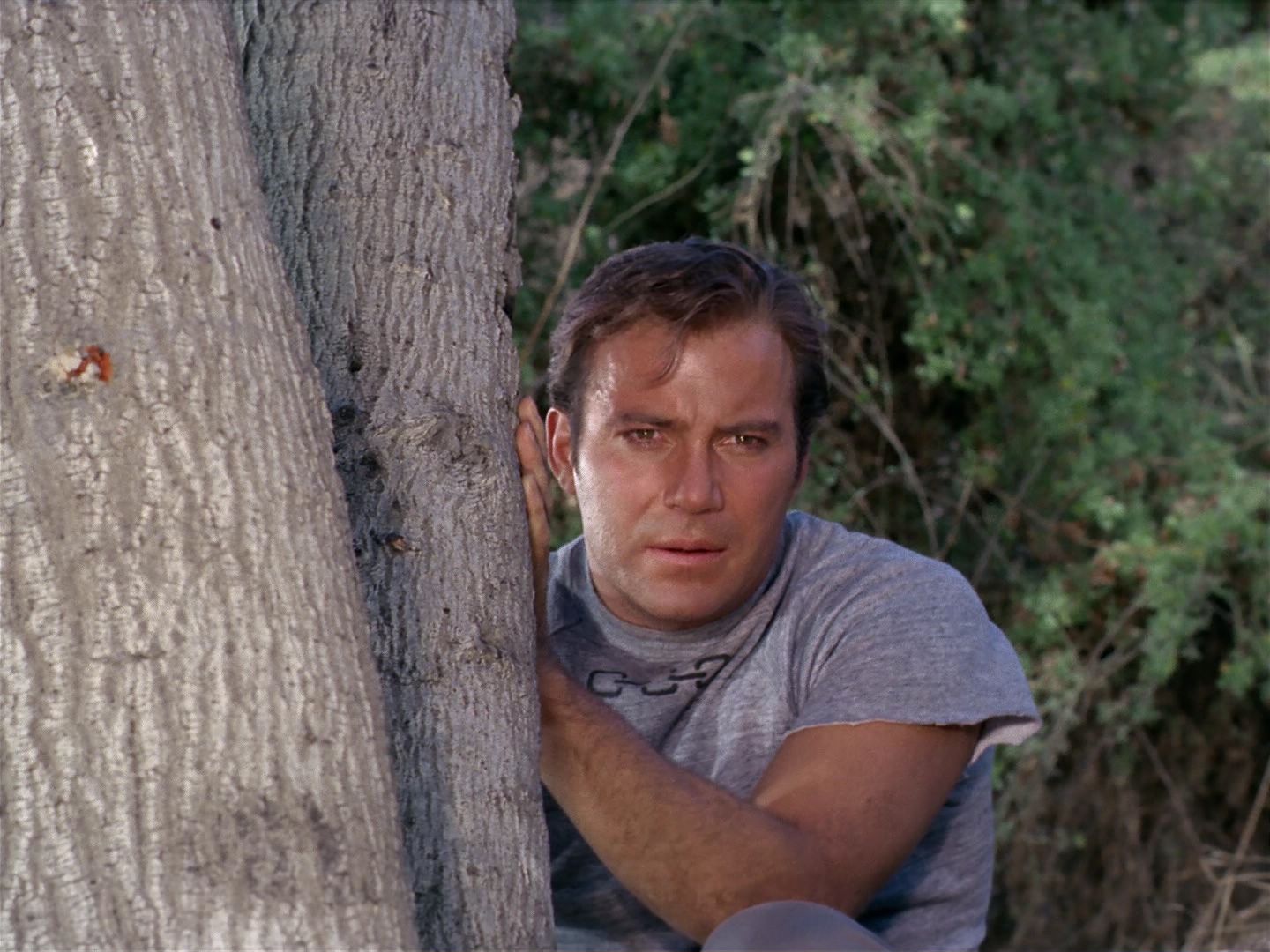 ariane179254_StarTrek_2x25_BreadAndCircuses_1058.jpg