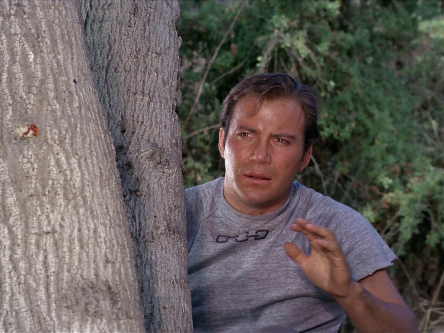 ariane179254_StarTrek_2x25_BreadAndCircuses_1060.jpg