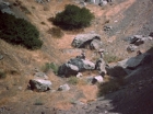 ariane179254_StarTrek_2x25_BreadAndCircuses_0478.jpg