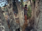 ariane179254_StarTrek_2x25_BreadAndCircuses_1006.jpg