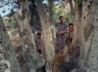 Filename=ariane179254_StarTrek_2x25_BreadAndCircuses_1008.jpg
Filesize=275KiB
Dimensions=1440x1080
Date added=Aug 27, 2015 ariane179254_StarTrek_2x25_BreadAndCircuses_1008.jpg