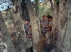 Filename=ariane179254_StarTrek_2x25_BreadAndCircuses_1009.jpg
Filesize=268KiB
Dimensions=1440x1080
Date added=Aug 27, 2015 ariane179254_StarTrek_2x25_BreadAndCircuses_1009.jpg