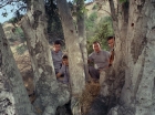 Filename=ariane179254_StarTrek_2x25_BreadAndCircuses_1010.jpg
Filesize=269KiB
Dimensions=1440x1080
Date added=Aug 27, 2015 ariane179254_StarTrek_2x25_BreadAndCircuses_1010.jpg