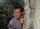 Filename=ariane179254_StarTrek_2x25_BreadAndCircuses_1018.jpg
Filesize=155KiB
Dimensions=1440x1080
Date added=Aug 27, 2015 ariane179254_StarTrek_2x25_BreadAndCircuses_1018.jpg
