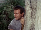 Filename=ariane179254_StarTrek_2x25_BreadAndCircuses_1019.jpg
Filesize=159KiB
Dimensions=1440x1080
Date added=Aug 27, 2015 ariane179254_StarTrek_2x25_BreadAndCircuses_1019.jpg