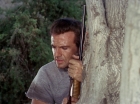 ariane179254_StarTrek_2x25_BreadAndCircuses_1035.jpg