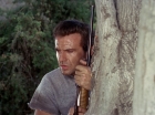 ariane179254_StarTrek_2x25_BreadAndCircuses_1037.jpg