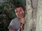 ariane179254_StarTrek_2x25_BreadAndCircuses_1044.jpg