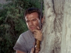 ariane179254_StarTrek_2x25_BreadAndCircuses_1049.jpg