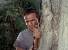 ariane179254_StarTrek_2x25_BreadAndCircuses_1050.jpg