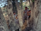 ariane179254_StarTrek_2x25_BreadAndCircuses_1066.jpg