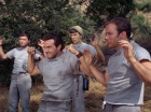Filename=ariane179254_StarTrek_2x25_BreadAndCircuses_1093.jpg
Filesize=224KiB
Dimensions=1440x1080
Date added=Aug 27, 2015 ariane179254_StarTrek_2x25_BreadAndCircuses_1093.jpg