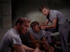Filename=ariane179254_StarTrek_2x25_BreadAndCircuses_1264.jpg
Filesize=120KiB
Dimensions=1440x1080
Date added=Aug 27, 2015 ariane179254_StarTrek_2x25_BreadAndCircuses_1264.jpg