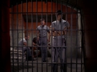 Filename=ariane179254_StarTrek_2x25_BreadAndCircuses_1268.jpg
Filesize=118KiB
Dimensions=1440x1080
Date added=Aug 27, 2015 ariane179254_StarTrek_2x25_BreadAndCircuses_1268.jpg