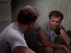 Filename=ariane179254_StarTrek_2x25_BreadAndCircuses_1295.jpg
Filesize=106KiB
Dimensions=1440x1080
Date added=Aug 27, 2015 ariane179254_StarTrek_2x25_BreadAndCircuses_1295.jpg