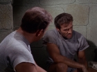 Filename=ariane179254_StarTrek_2x25_BreadAndCircuses_1313.jpg
Filesize=106KiB
Dimensions=1440x1080
Date added=Aug 27, 2015 ariane179254_StarTrek_2x25_BreadAndCircuses_1313.jpg