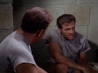 Filename=ariane179254_StarTrek_2x25_BreadAndCircuses_1314.jpg
Filesize=106KiB
Dimensions=1440x1080
Date added=Aug 27, 2015 ariane179254_StarTrek_2x25_BreadAndCircuses_1314.jpg