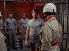 Filename=ariane179254_StarTrek_2x25_BreadAndCircuses_1341.jpg
Filesize=137KiB
Dimensions=1440x1080
Date added=Aug 27, 2015 ariane179254_StarTrek_2x25_BreadAndCircuses_1341.jpg