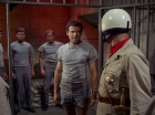 Filename=ariane179254_StarTrek_2x25_BreadAndCircuses_1344.jpg
Filesize=136KiB
Dimensions=1440x1080
Date added=Aug 27, 2015 ariane179254_StarTrek_2x25_BreadAndCircuses_1344.jpg