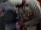 Filename=ariane179254_StarTrek_2x25_BreadAndCircuses_1396.jpg
Filesize=97KiB
Dimensions=1440x1080
Date added=Aug 27, 2015 ariane179254_StarTrek_2x25_BreadAndCircuses_1396.jpg