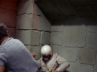 Filename=ariane179254_StarTrek_2x25_BreadAndCircuses_1399.jpg
Filesize=116KiB
Dimensions=1440x1080
Date added=Aug 27, 2015 ariane179254_StarTrek_2x25_BreadAndCircuses_1399.jpg