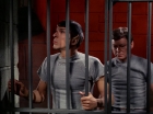 Filename=ariane179254_StarTrek_2x25_BreadAndCircuses_2585.jpg
Filesize=143KiB
Dimensions=1440x1080
Date added=Aug 27, 2015 ariane179254_StarTrek_2x25_BreadAndCircuses_2585.jpg