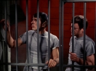 Filename=ariane179254_StarTrek_2x25_BreadAndCircuses_2587.jpg
Filesize=145KiB
Dimensions=1440x1080
Date added=Aug 27, 2015 ariane179254_StarTrek_2x25_BreadAndCircuses_2587.jpg
