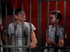 Filename=ariane179254_StarTrek_2x25_BreadAndCircuses_2591.jpg
Filesize=141KiB
Dimensions=1440x1080
Date added=Aug 27, 2015 ariane179254_StarTrek_2x25_BreadAndCircuses_2591.jpg