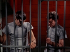 Filename=ariane179254_StarTrek_2x25_BreadAndCircuses_2593.jpg
Filesize=137KiB
Dimensions=1440x1080
Date added=Aug 27, 2015 ariane179254_StarTrek_2x25_BreadAndCircuses_2593.jpg